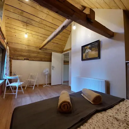 Modrzewiowa Chata Chalet *