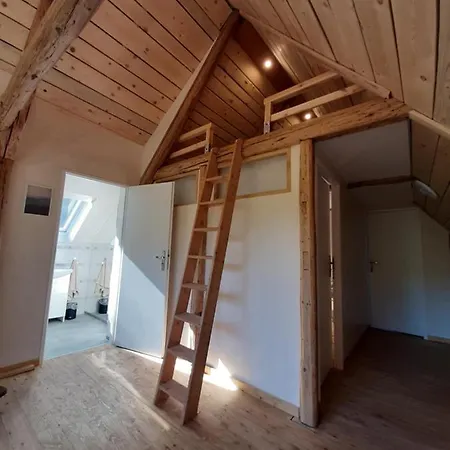 Modrzewiowa Chata Chalet *