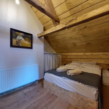 Chalet Modrzewiowa Chata